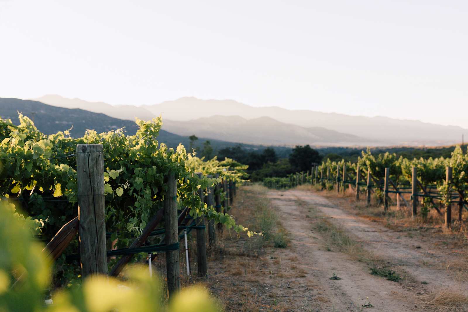 Rancho Esquandolas - Warner Springs, California - glamping.directory