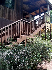 Tropical Lodge Getaway Nestled on an Organic Farm in Pahoa, Hawaii - Pahoa, Hawaii - glamping.directory