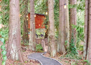 Relaxing Tree House in Sequim, Washington, Perfect for a Glamping Getaway to Olympic National Park - glamping.directory