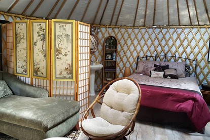 Rustic Luxury: Riverfront Yurt Glamping in Claxton, Georgia - Claxton, Georgia - glamping.directory
