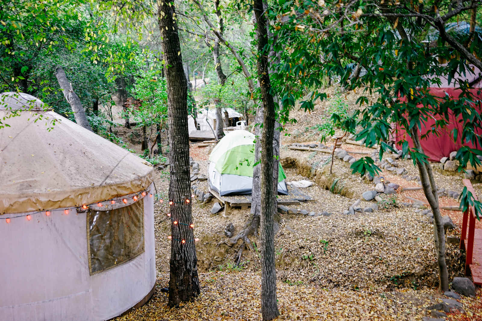 Lupin Lodge - glamping.directory