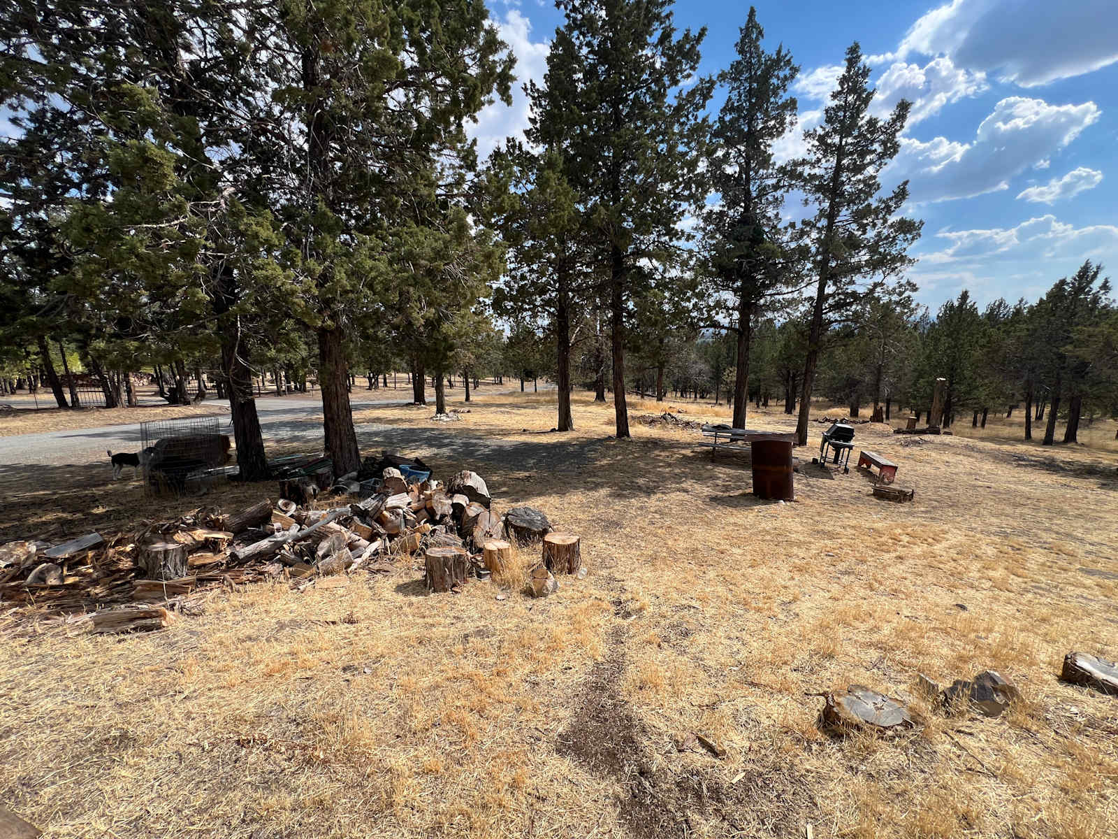 Camp Calamity - glamping.directory
