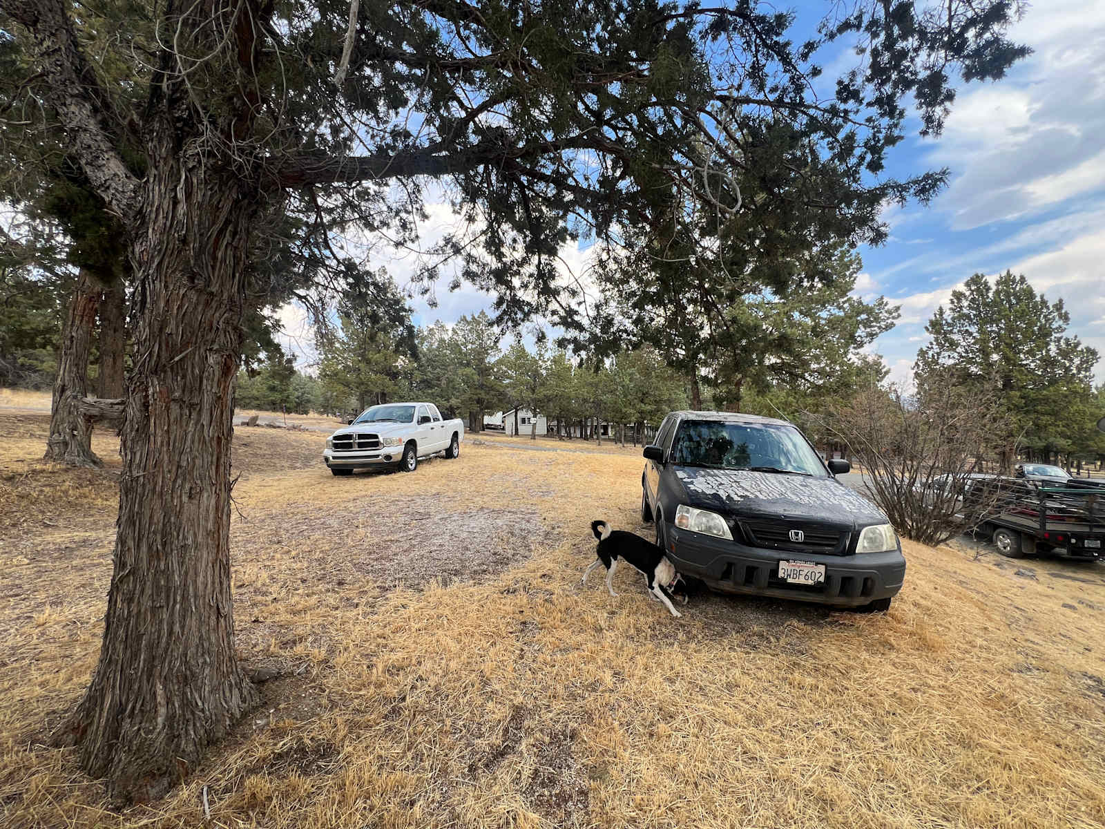 Camp Calamity - Alturas, California - glamping.directory
