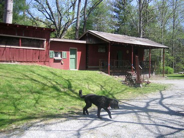 Family-Friendly Cabin with Panoramic Mountain Views next to Pisgah National Forest - Pisgah Forest, North Carolina - glamping.directory