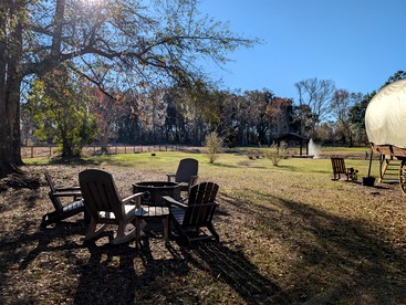 Soulful Glamping Experience with Highland Cows, Private Wagon & Nature in Melrose, Florida - Melrose, Florida - glamping.directory