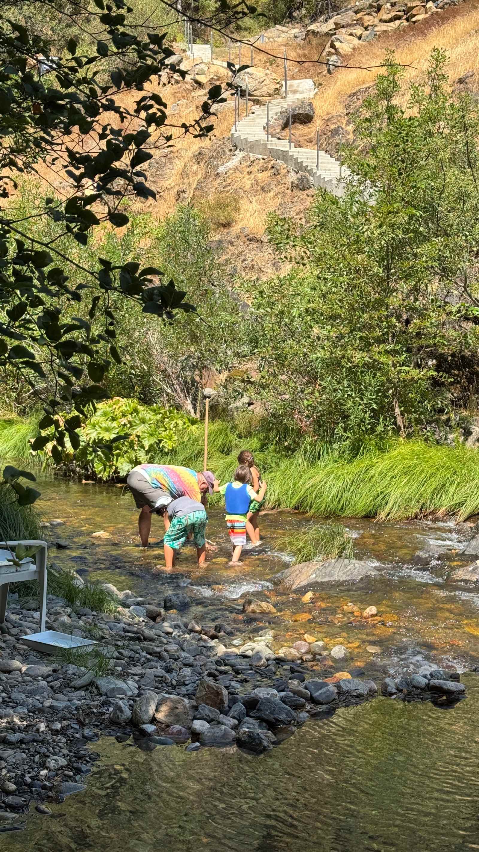 Strange Ranch - River and Gold - Wilseyville, California - glamping.directory