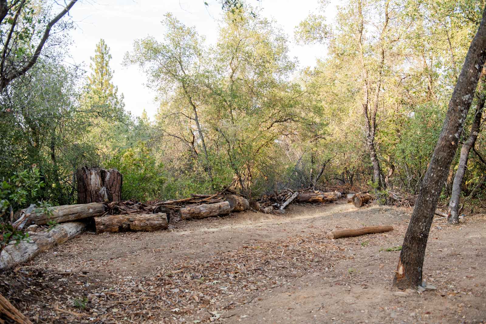 Robinson Mine Basecamp - Groveland, California - glamping.directory