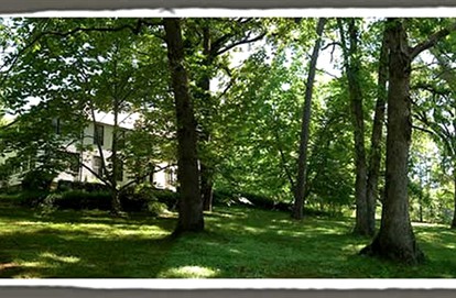 Artists' Suite Rental with Loft near Asheville, North Carolina - Black Mountain, North Carolina - glamping.directory