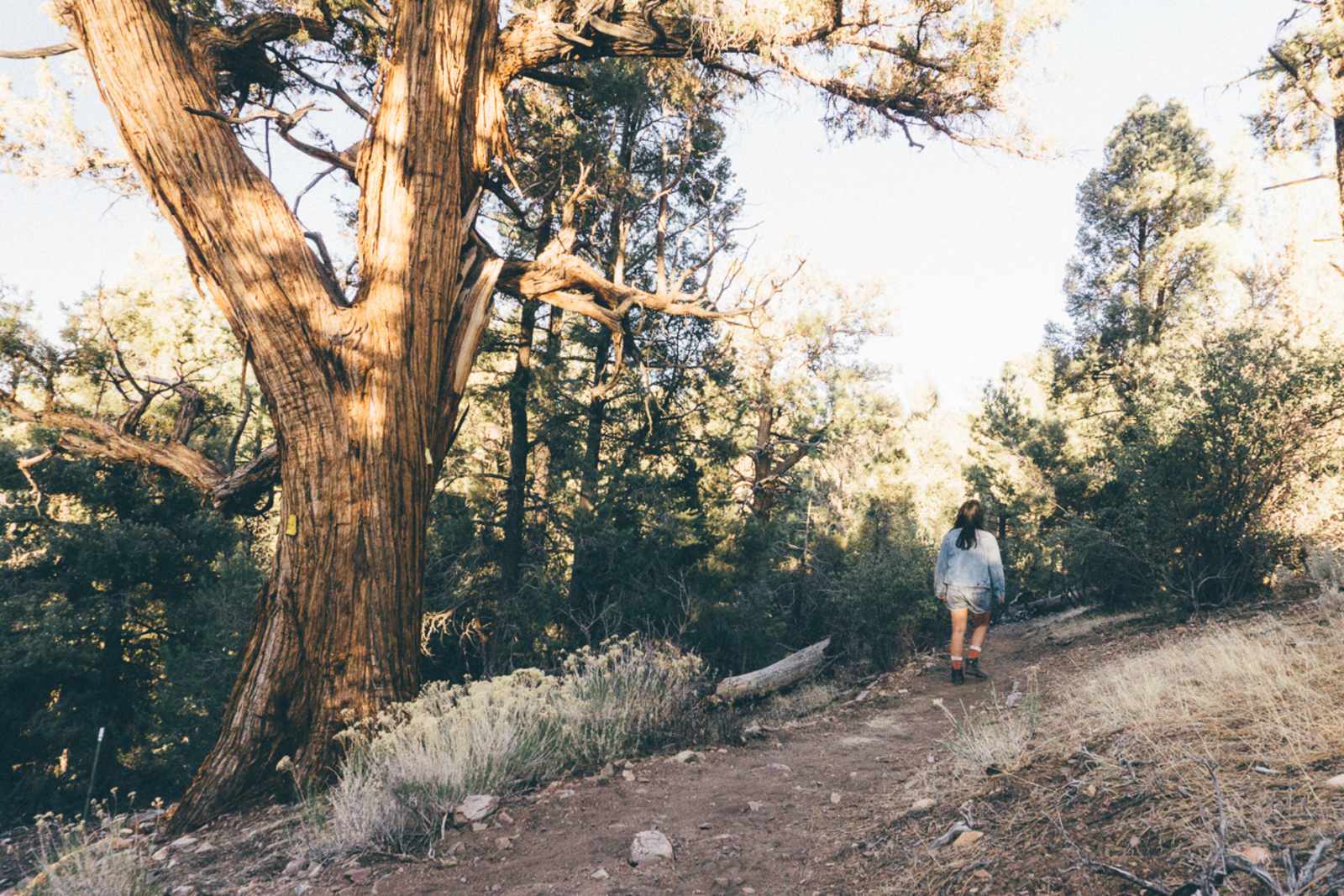 Sky Ranch in Big Bear - Big Bear, California - glamping.directory
