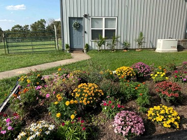 Breathtaking Cottage with Swimming Pool in Siloam Springs, Arkansas - glamping.directory