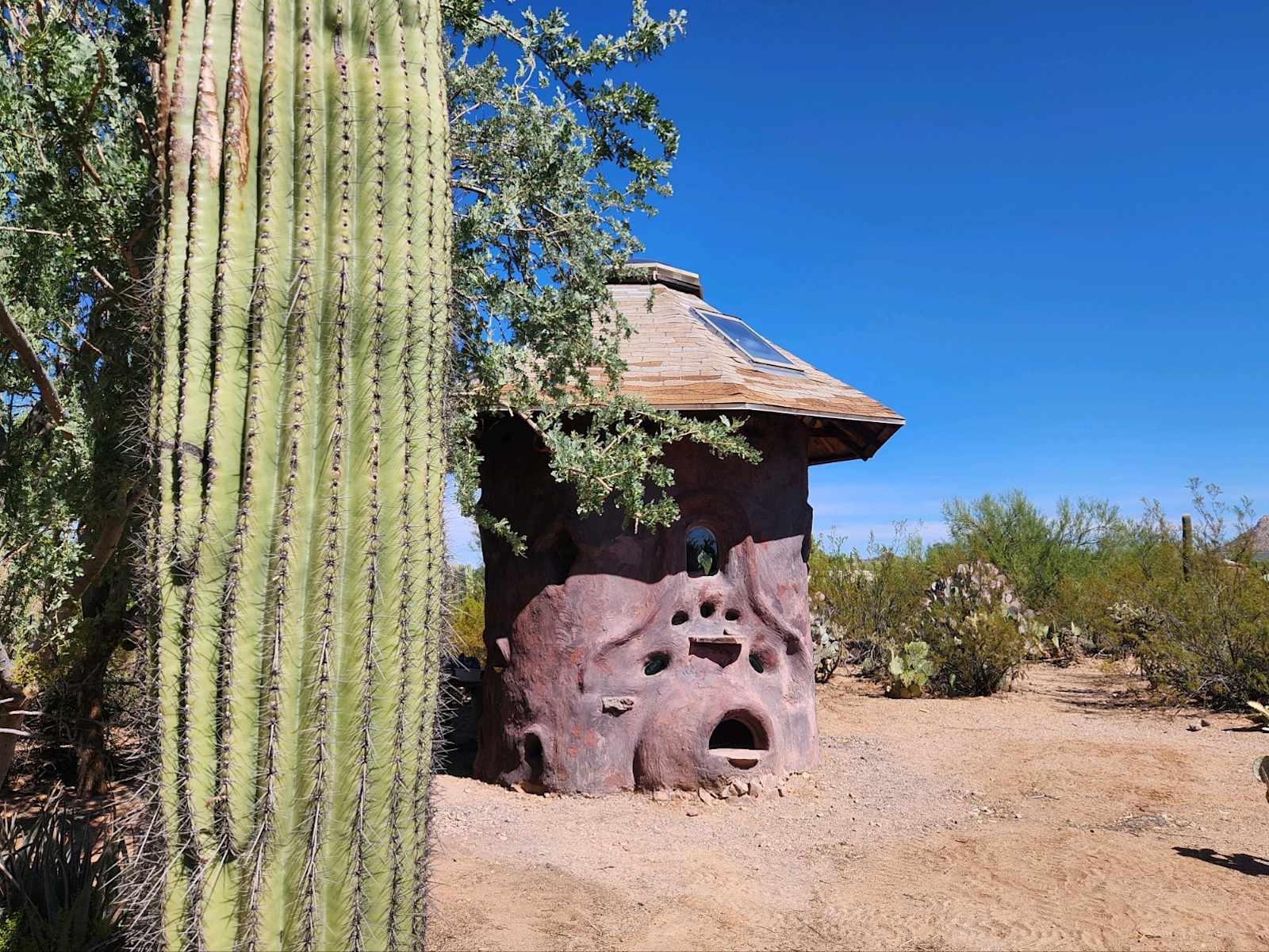Camp Saguaro - glamping.directory
