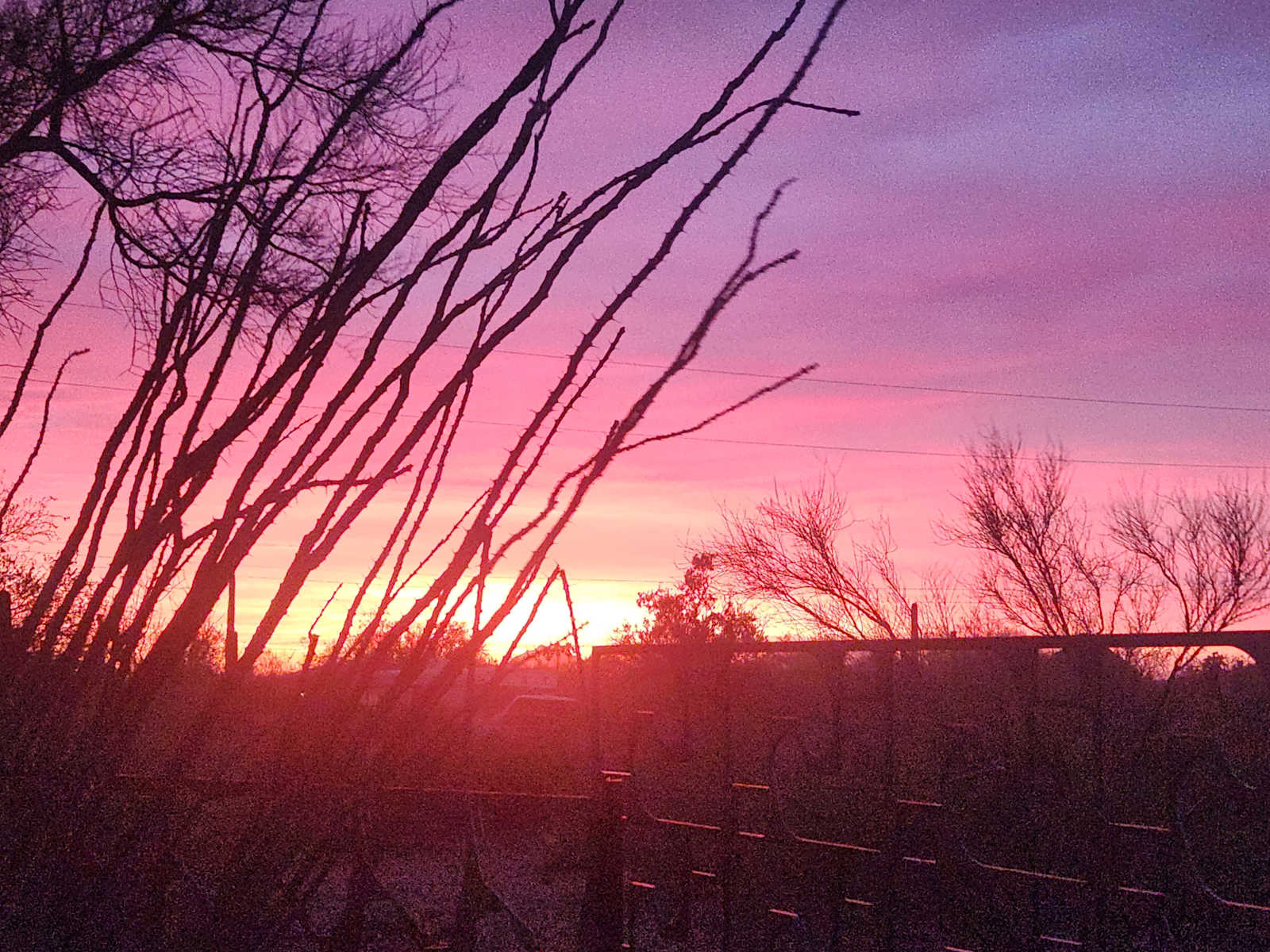 Camp Saguaro - Tucson, Arizona - glamping.directory