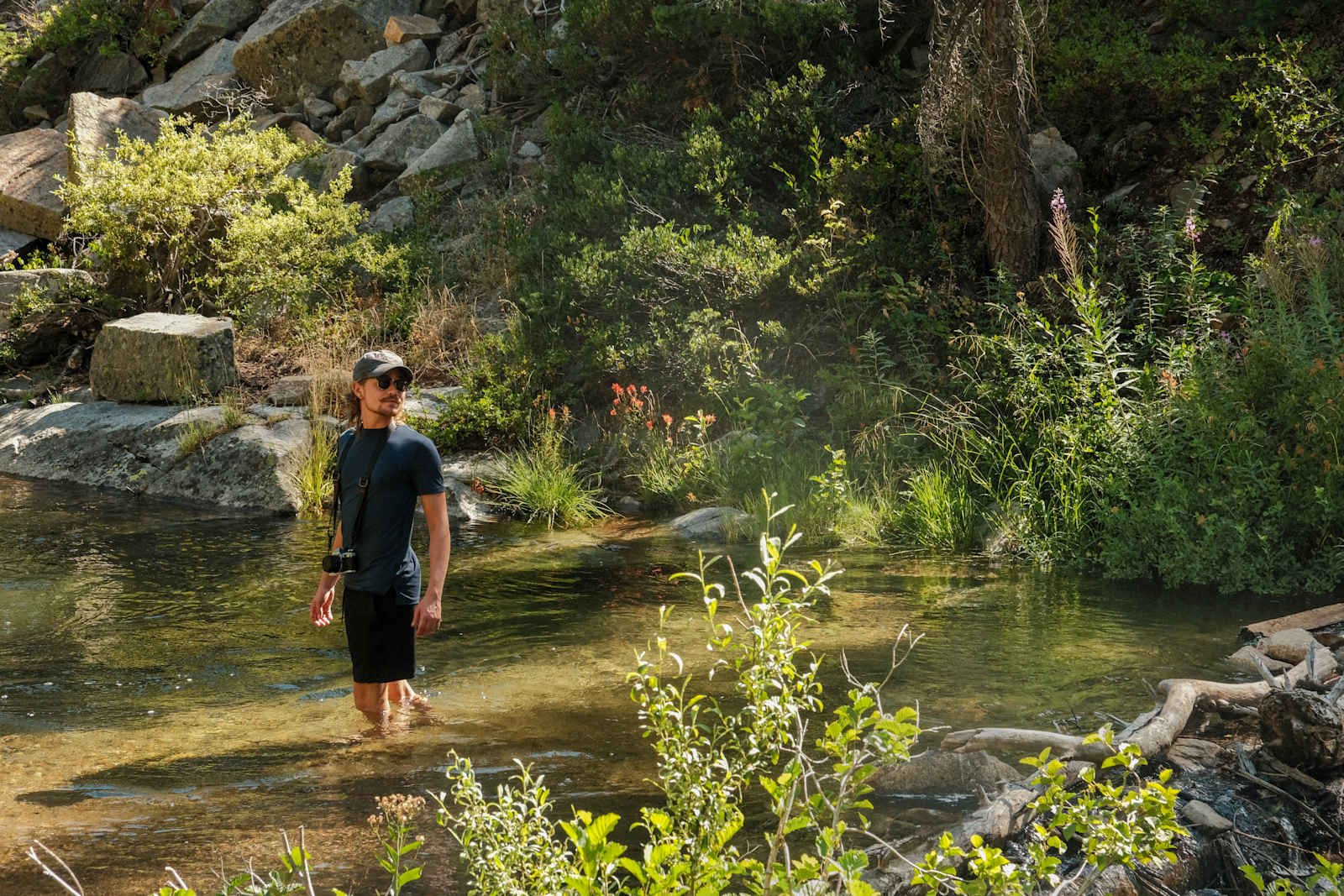 Kingvale Campground and Disc Golf - Norden, California - glamping.directory