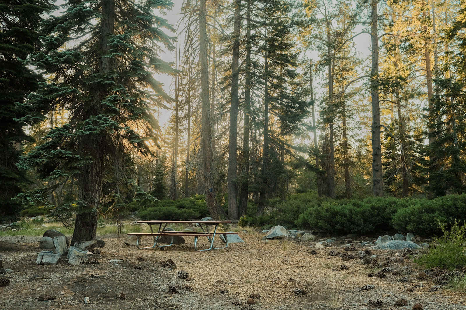 Kingvale Campground and Disc Golf - Norden, California - glamping.directory