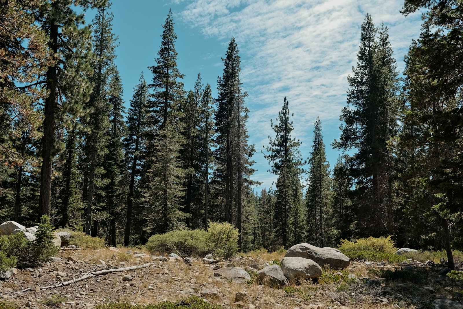 Kingvale Campground and Disc Golf - Norden, California - glamping.directory