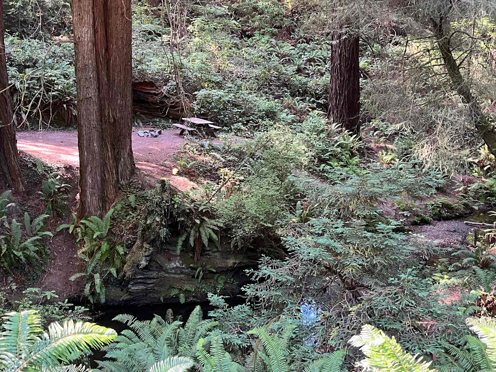 Sylvan Harbor RV Camp & Cabins - Trinidad, California - glamping.directory