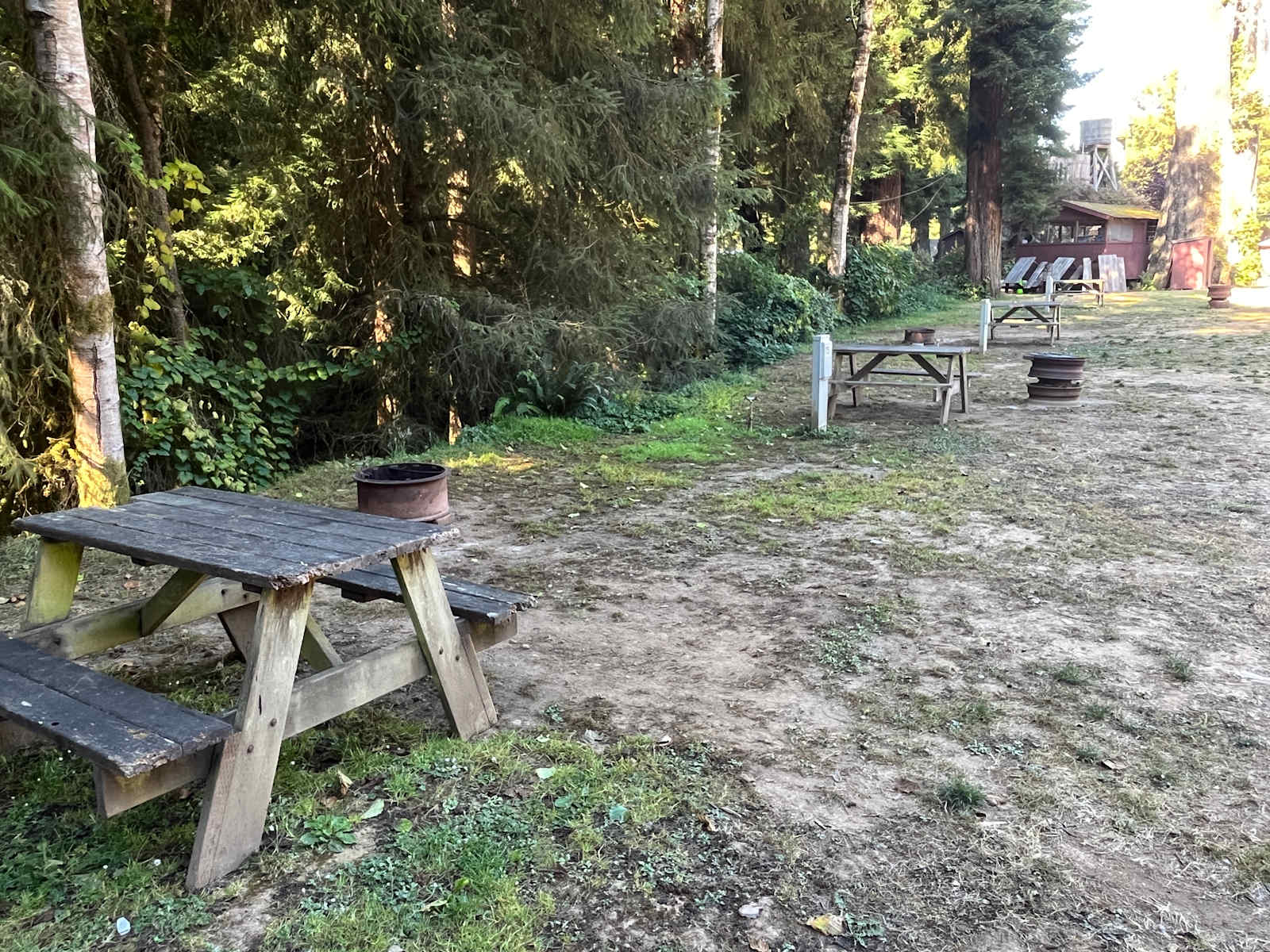 Sylvan Harbor RV Camp & Cabins - Trinidad, California - glamping.directory