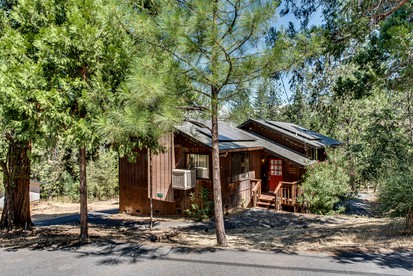 Pet-Perfect Pine Mountain Lake: Explore Beaches from Your Pet-Friendly Rental - glamping.directory