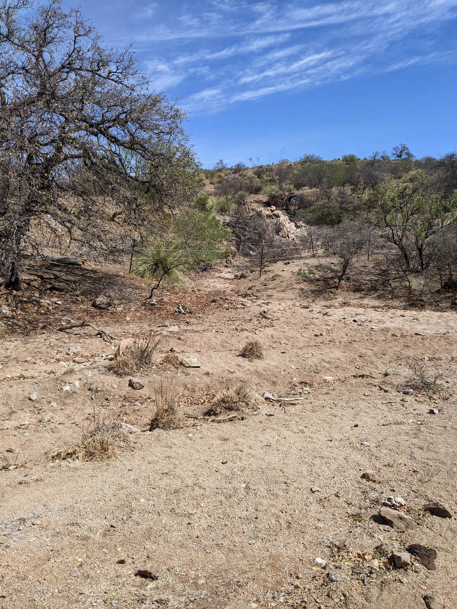 Wild Oak Wilderness - Elfrida, Arizona - glamping.directory