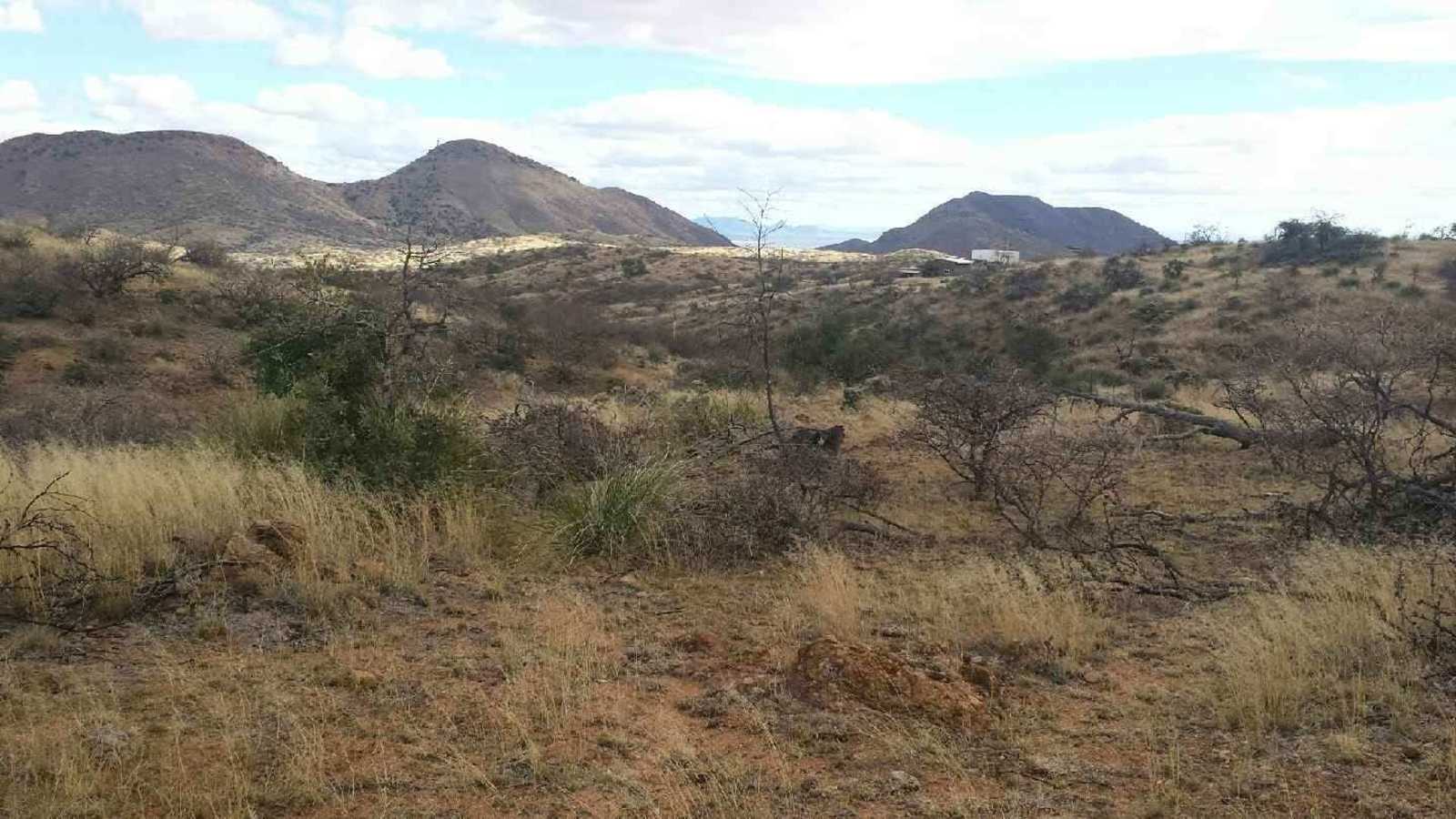 Wild Oak Wilderness - Elfrida, Arizona - glamping.directory