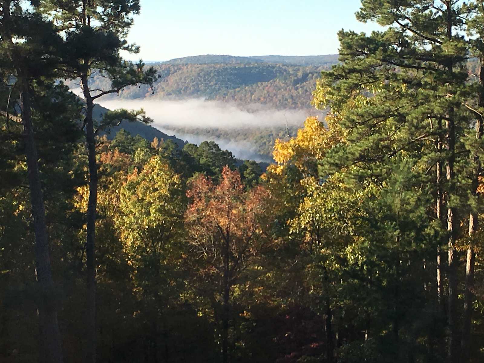 Harper Bluff & Numu Coffee Roastery - glamping.directory