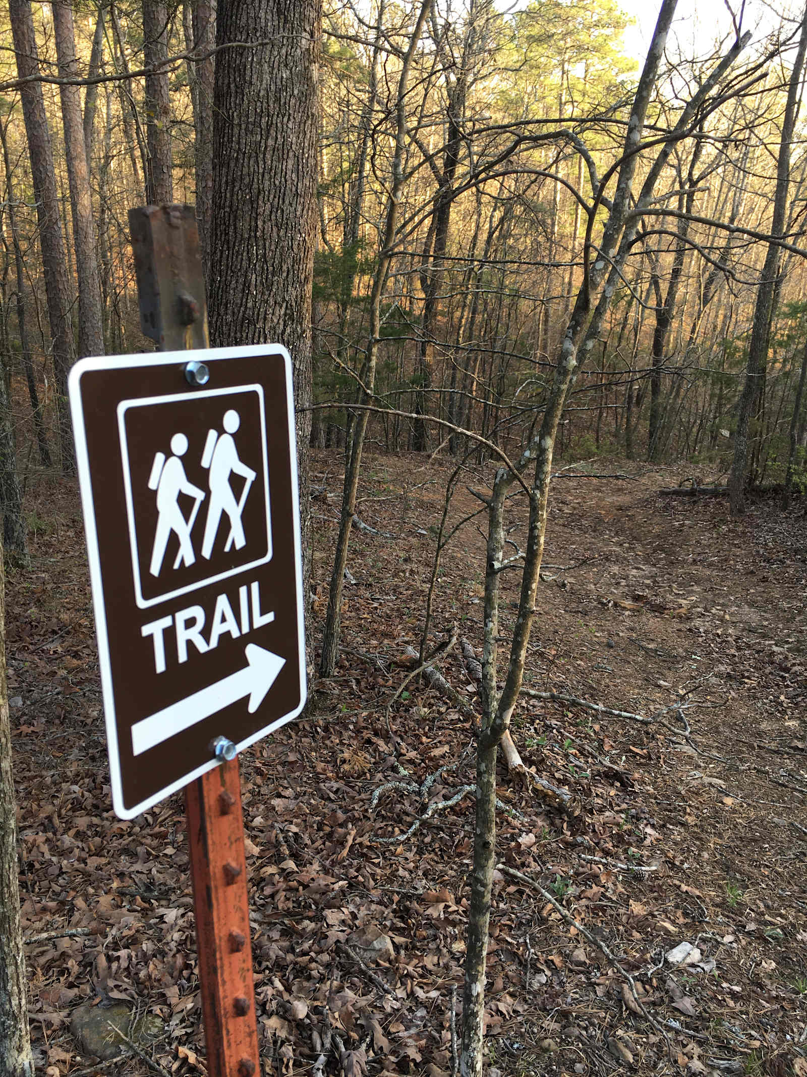 Harper Bluff & Numu Coffee Roastery - Fox, Arkansas - glamping.directory