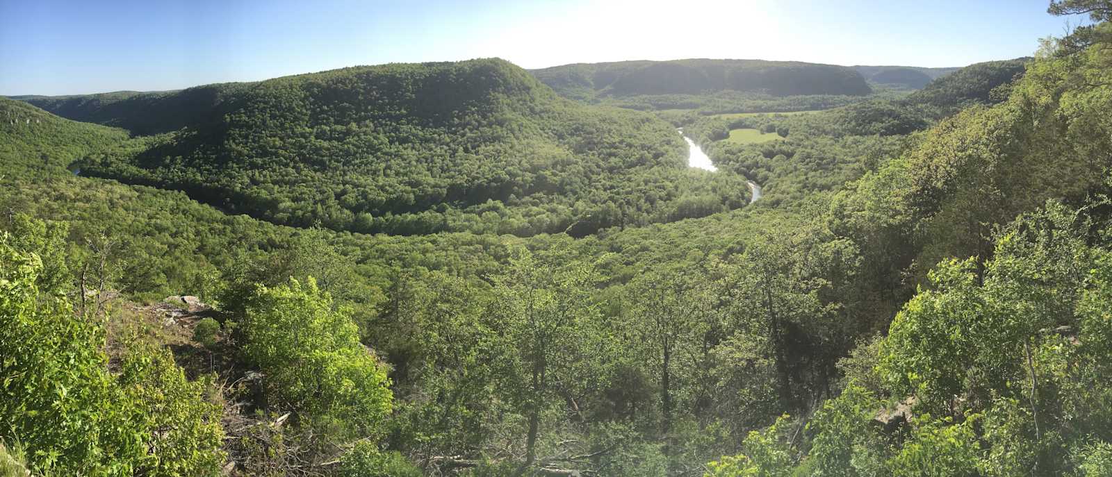Harper Bluff & Numu Coffee Roastery - Fox, Arkansas - glamping.directory