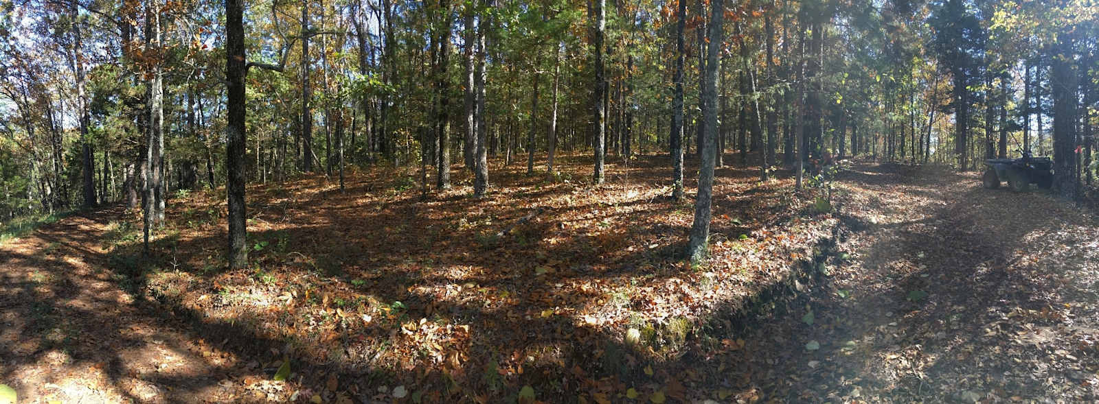 Harper Bluff & Numu Coffee Roastery - Fox, Arkansas - glamping.directory