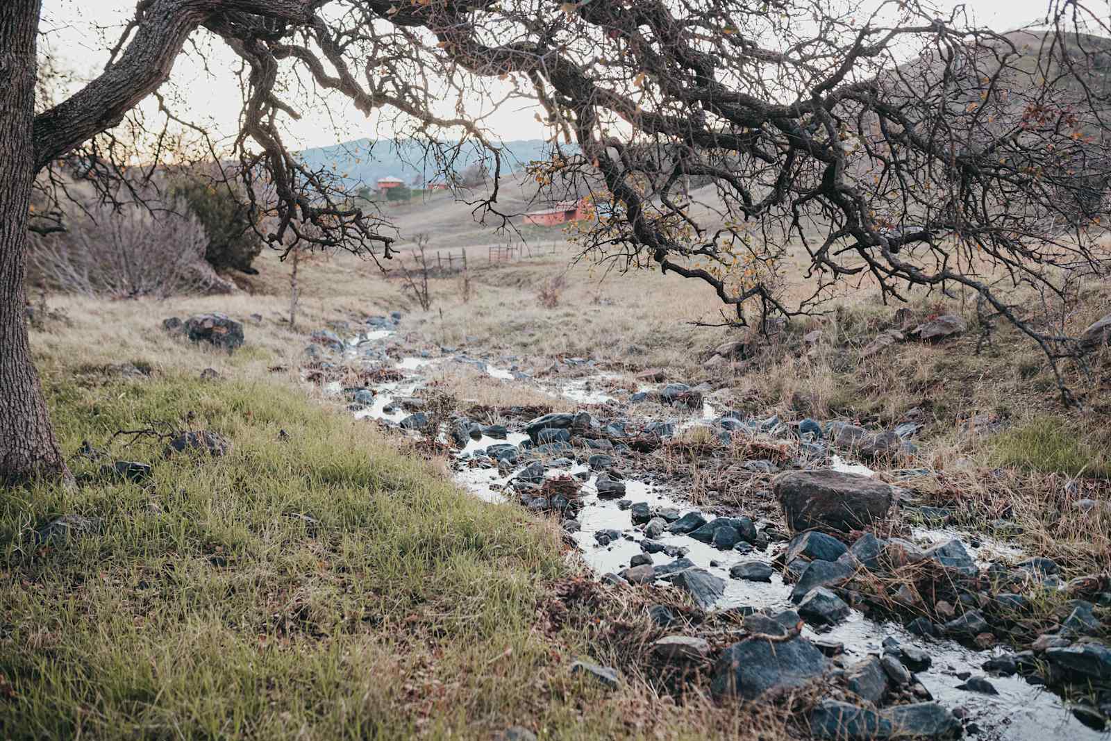 Golden Sky Retreat - Tres Pinos, California - glamping.directory