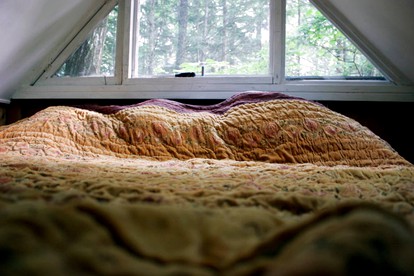 Charming Cabin in the Woods near Woodstock, New York - Woodstock, New York - glamping.directory