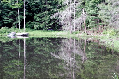 Charming Cabin in the Woods near Woodstock, New York - Woodstock, New York - glamping.directory