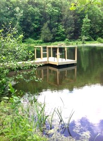 Charming Cabin in the Woods near Woodstock, New York - Woodstock, New York - glamping.directory