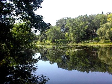Charming Cabin in the Woods near Woodstock, New York - Woodstock, New York - glamping.directory