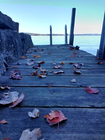 Lake Winnipesaukee Island for a Waterfront Glamping Getaway! - Alton Bay, New Hampshire - glamping.directory