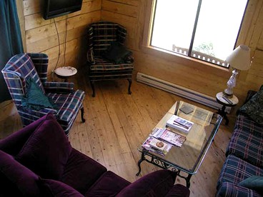 Lovely Camping Cabin with Amazing Woodland Views in the Western Rockies of Colorado - Lake City, Colorado - glamping.directory