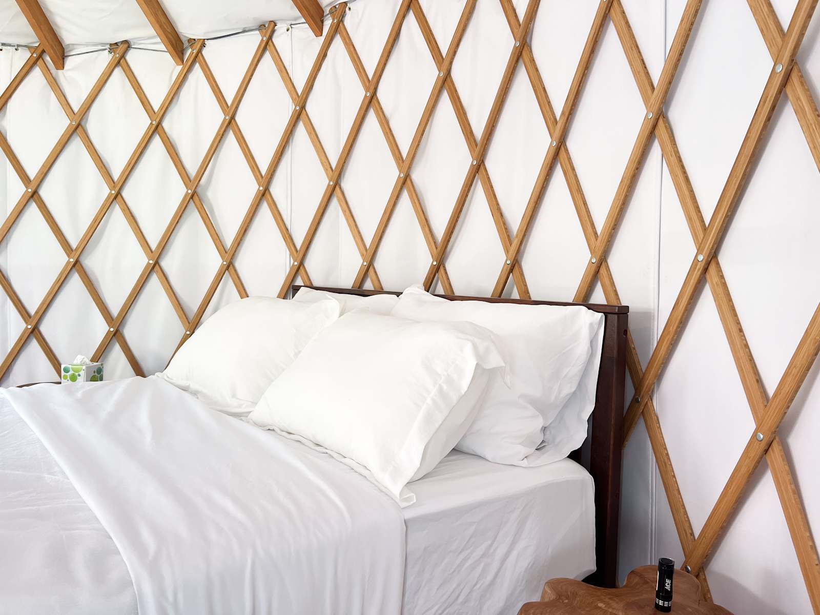 Bay Area Yurt Retreat! - Oakland, California - glamping.directory