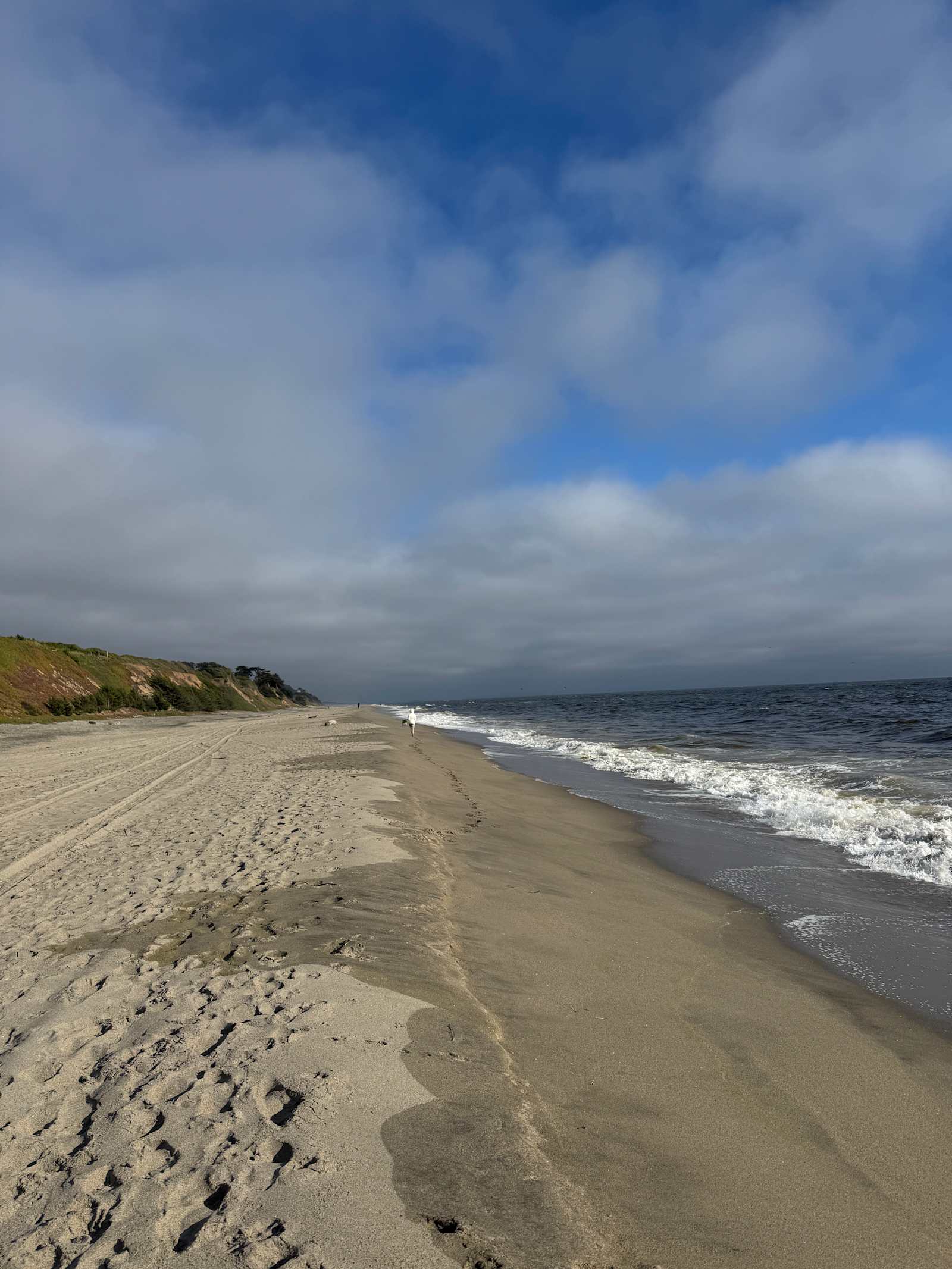 Salty Fox Retreat @ Peaceful Valley - La Selva Beach, California - glamping.directory