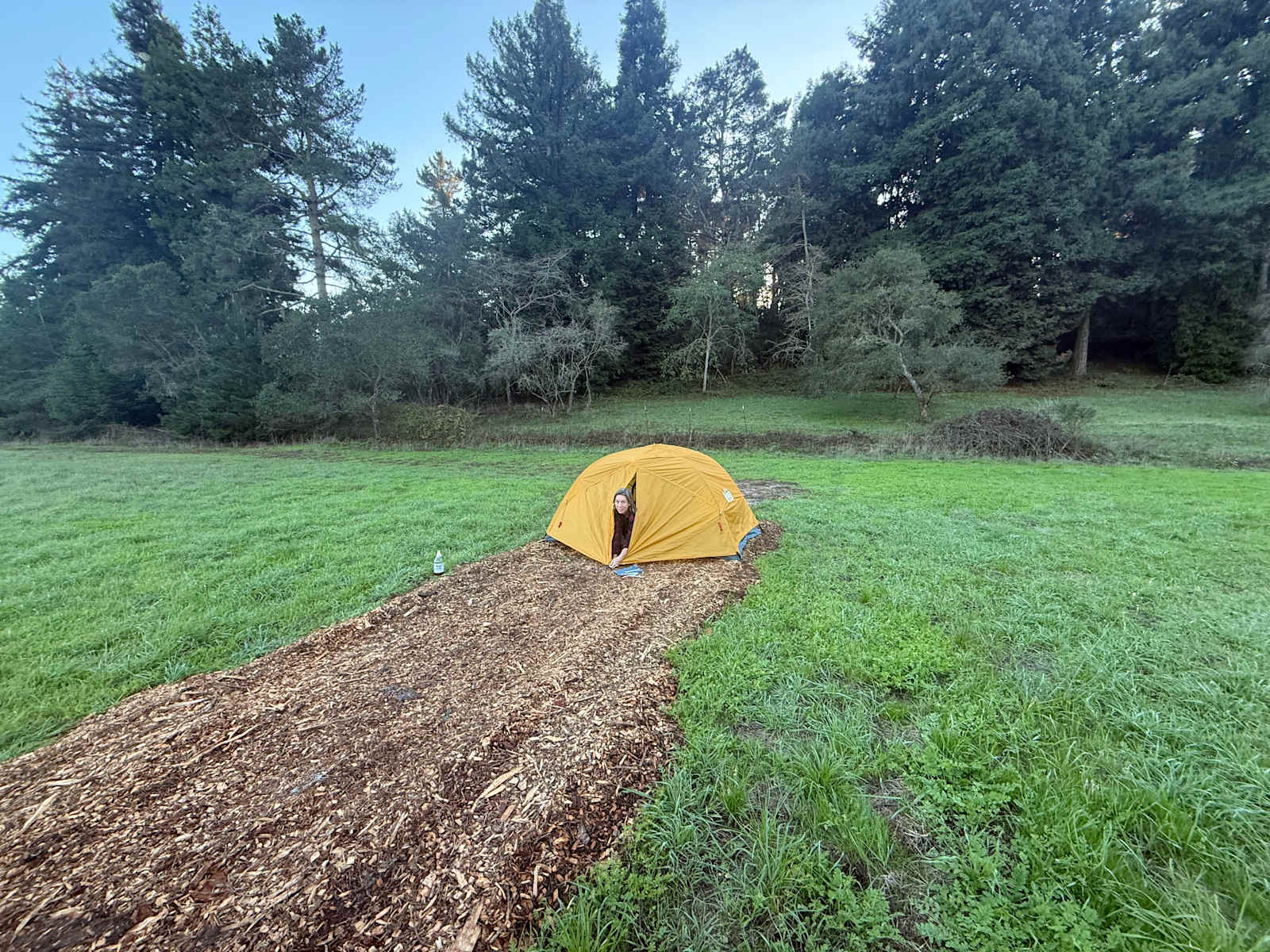 Salty Fox Retreat @ Peaceful Valley - La Selva Beach, California - glamping.directory