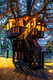 Half Moon Bay Glamping Getaway in an Idyllic Tree House and Cabin - Half Moon Bay, California - glamping.directory