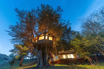 Half Moon Bay Glamping Getaway in an Idyllic Tree House and Cabin - Half Moon Bay, California - glamping.directory