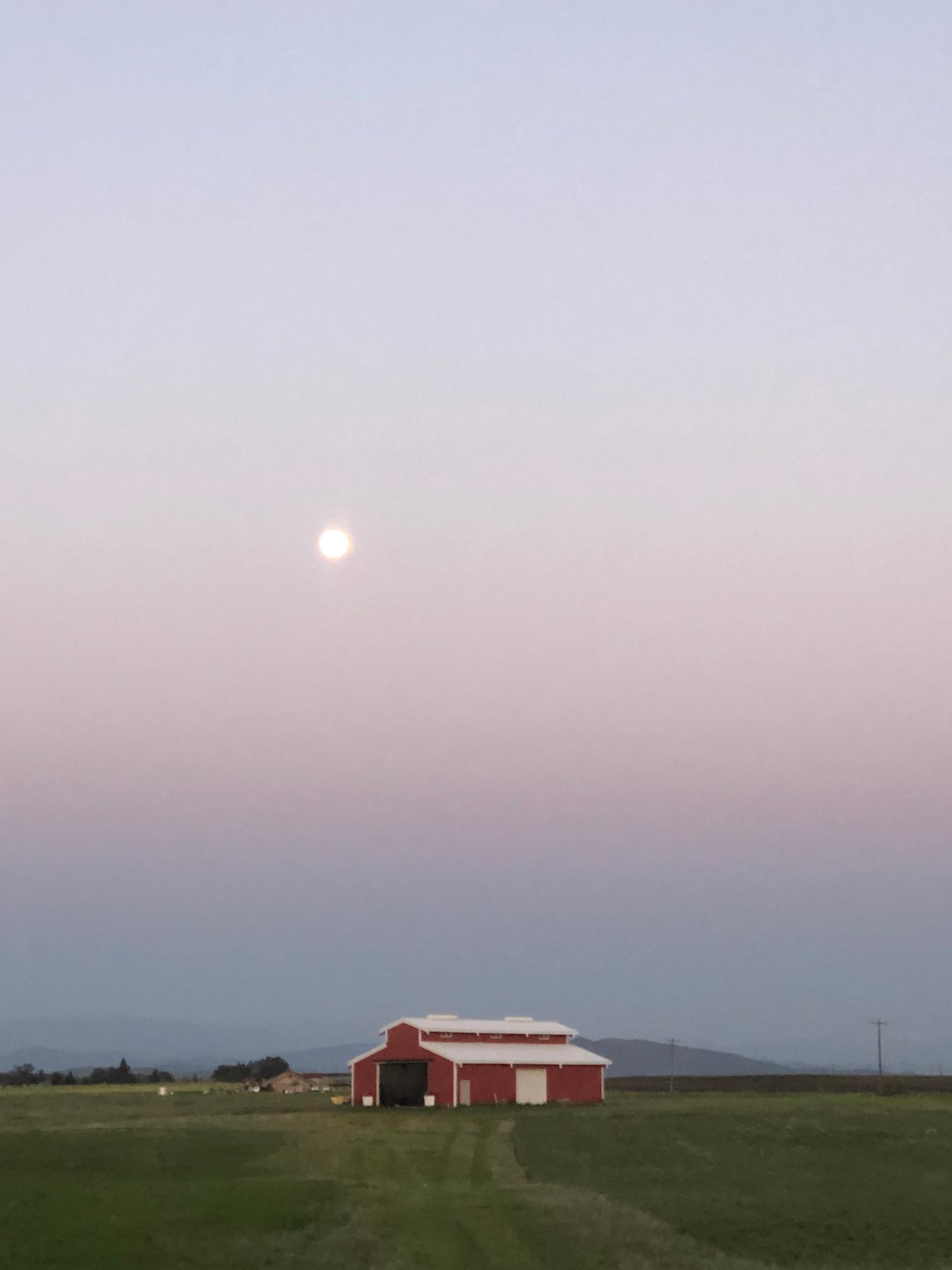 A & M Ranch Central Cal - glamping.directory