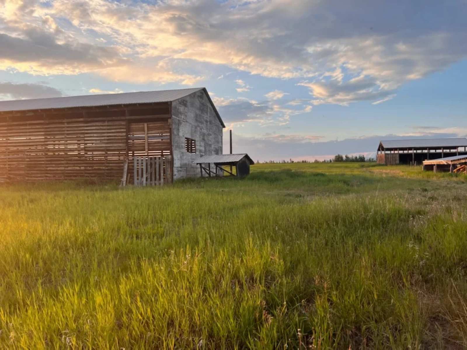Wrangell Mountain Homestead - Copper Center, Alaska - glamping.directory