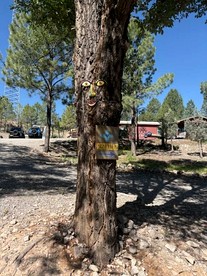 Groovy Glamping Village & Teardrop Retreat with Outdoor Kitchen near Sacramento Mountains, Mayhill New Mexico - Mayhill, New Mexico - glamping.directory