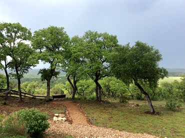 Unique Farm-Stay Cabin on Idyllic Pastureland in Wilson County, Texas - Floresville, Texas - glamping.directory