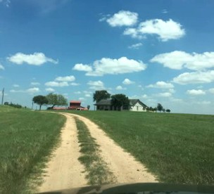 Unique Farm-Stay Cabin on Idyllic Pastureland in Wilson County, Texas - Floresville, Texas - glamping.directory