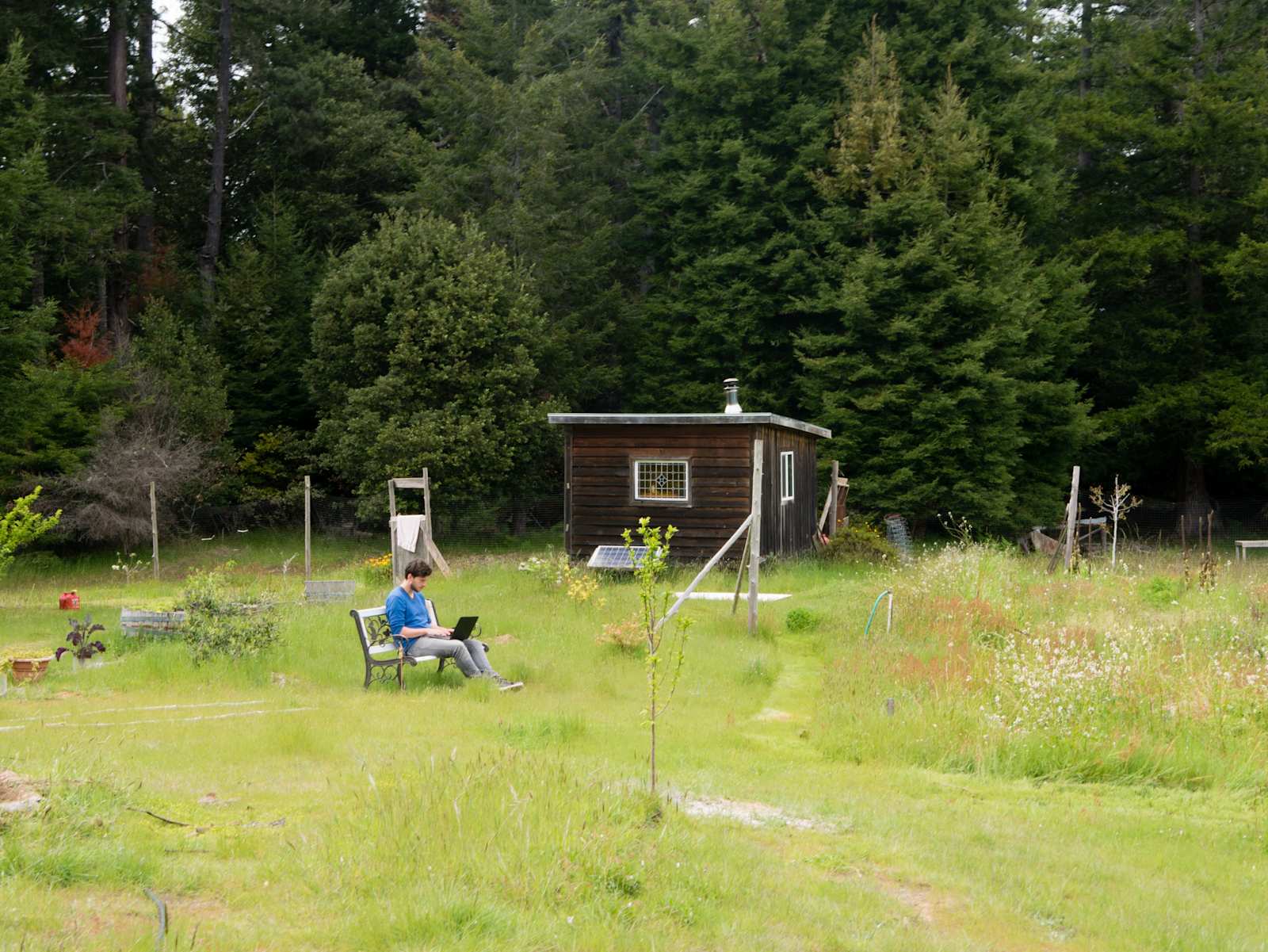 Meadow Farm & Forest - glamping.directory