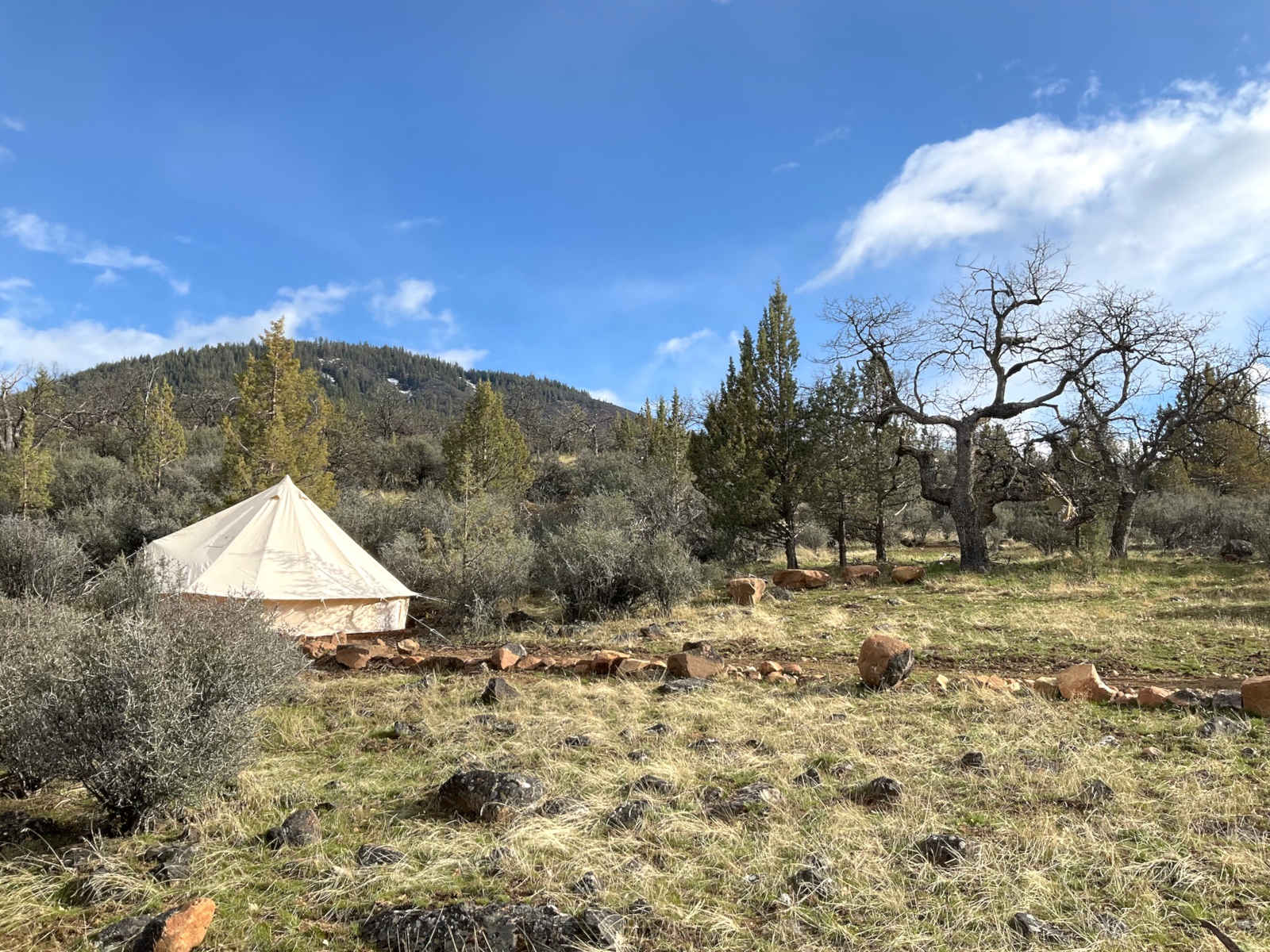 Firebird Ridge - Hornbrook, California - glamping.directory