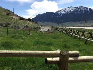 Spacious Family Cabin Rental near Yellowstone National Park in Montana - Gardiner, Montana - glamping.directory