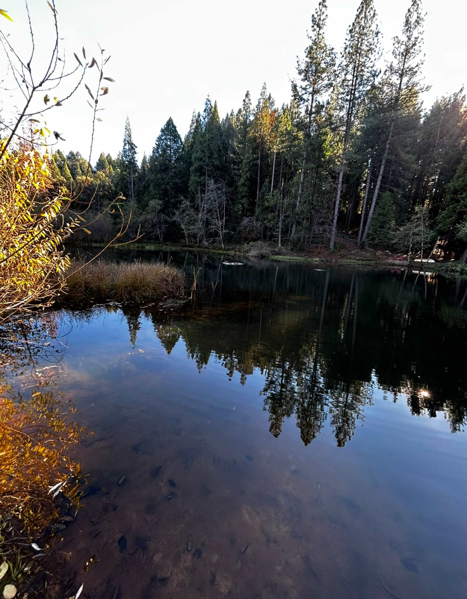 Sweethaven Ranch - Nevada City, California - glamping.directory