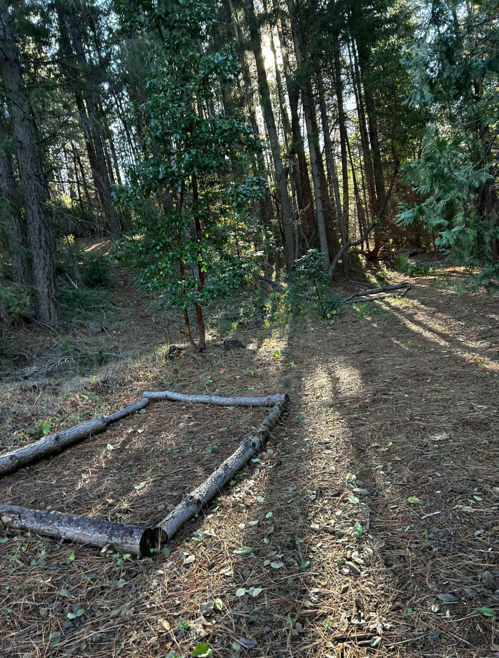 Sweethaven Ranch - Nevada City, California - glamping.directory